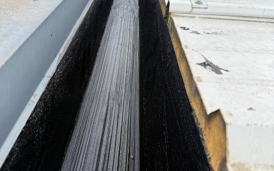 avella fındık - giresun